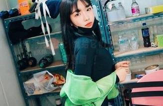 Sonson(손손)的狗狗游戏：我给它们准备了个派对，但狗子们更想蹦跶！