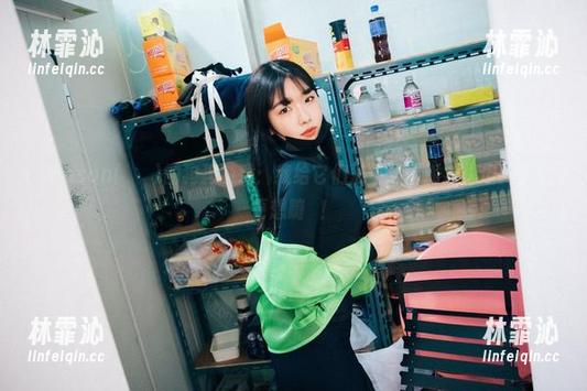 Sonson(손손)的狗狗游戏：我给它们准备了个派对，但狗子们更想蹦跶！