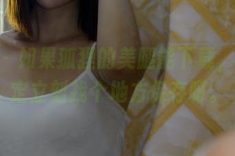 pans – 如果狐狸的美腿能下载，那我一定立刻找个地方保存呀。