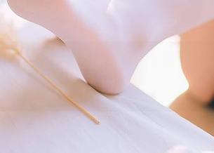 不呆猫的体系—看懂绷带美学，然后别太认真。