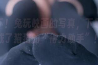 感受一下！兔玩映画的写真，下载之后就成了猫猫的“得力助手”！