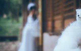 微密圈 – 大开眼界！好H好女杀手的花园，精选了一堆不太正经的作品集
