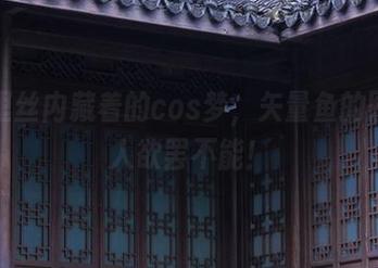 在裤里丝内藏着的cos梦,矢量鱼的图包让人欲罢不能!